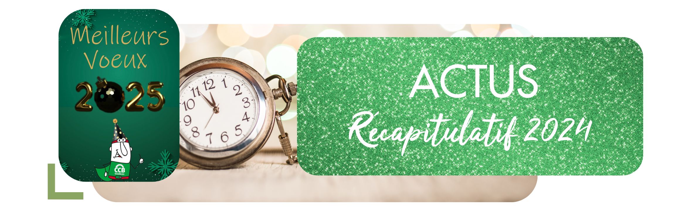 ACTUALITES : RECAPITULATIFS 2024